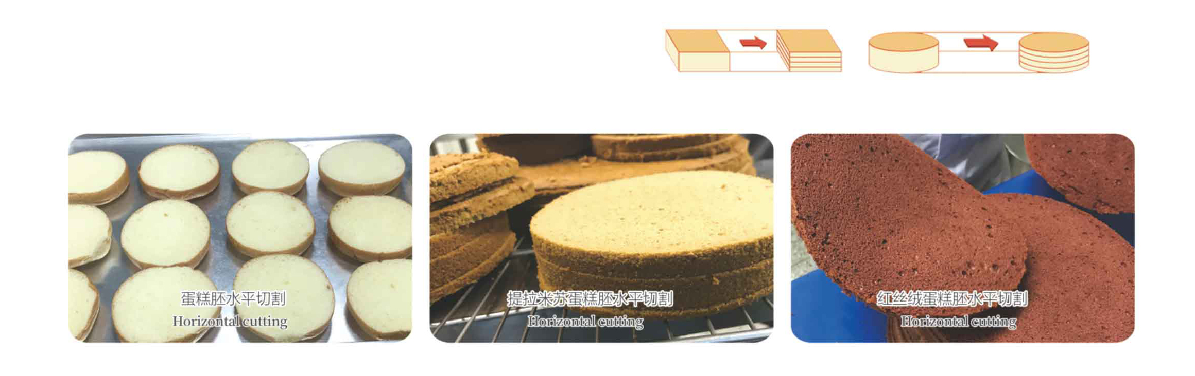 JM303B-1 Model Photo