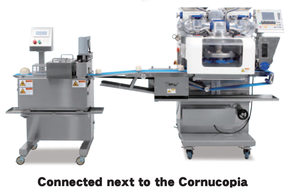 Empanada1 Model Photo